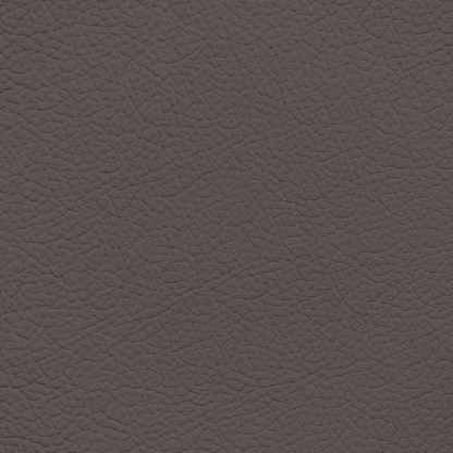 Ford/Lincoln/Mercury Brunello Leather Dye