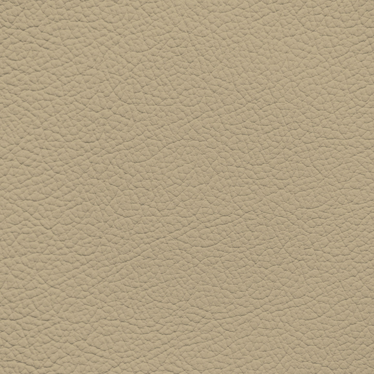 Mercedes Buckskin Leather Dye