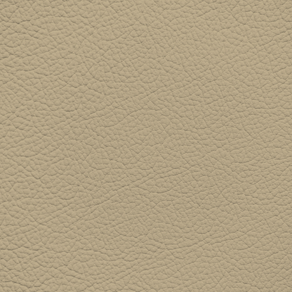 Mercedes Buckskin Leather Dye