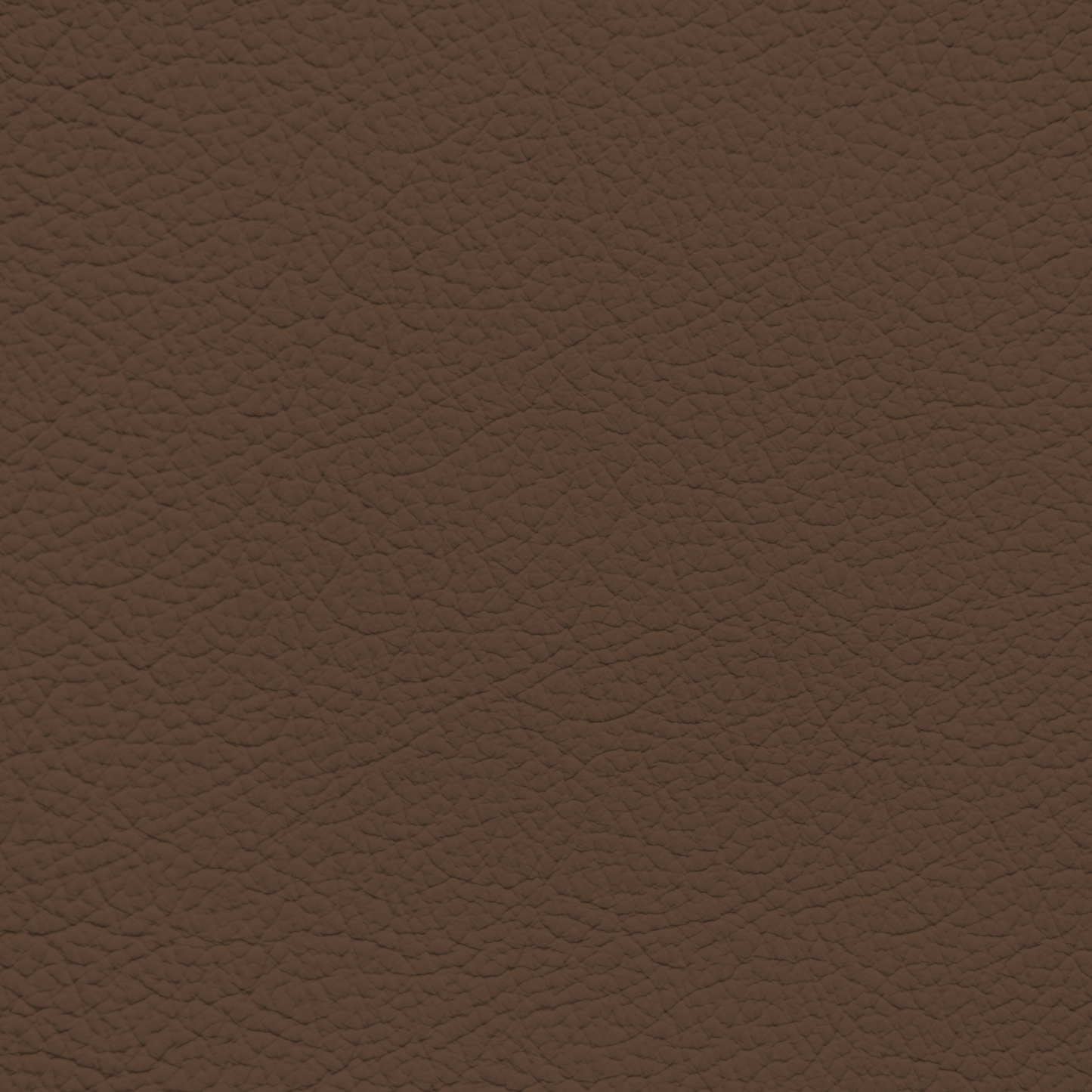 Volkswagen Buffalo Leather Dye