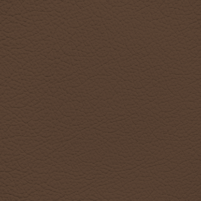 Volkswagen Buffalo Leather Dye