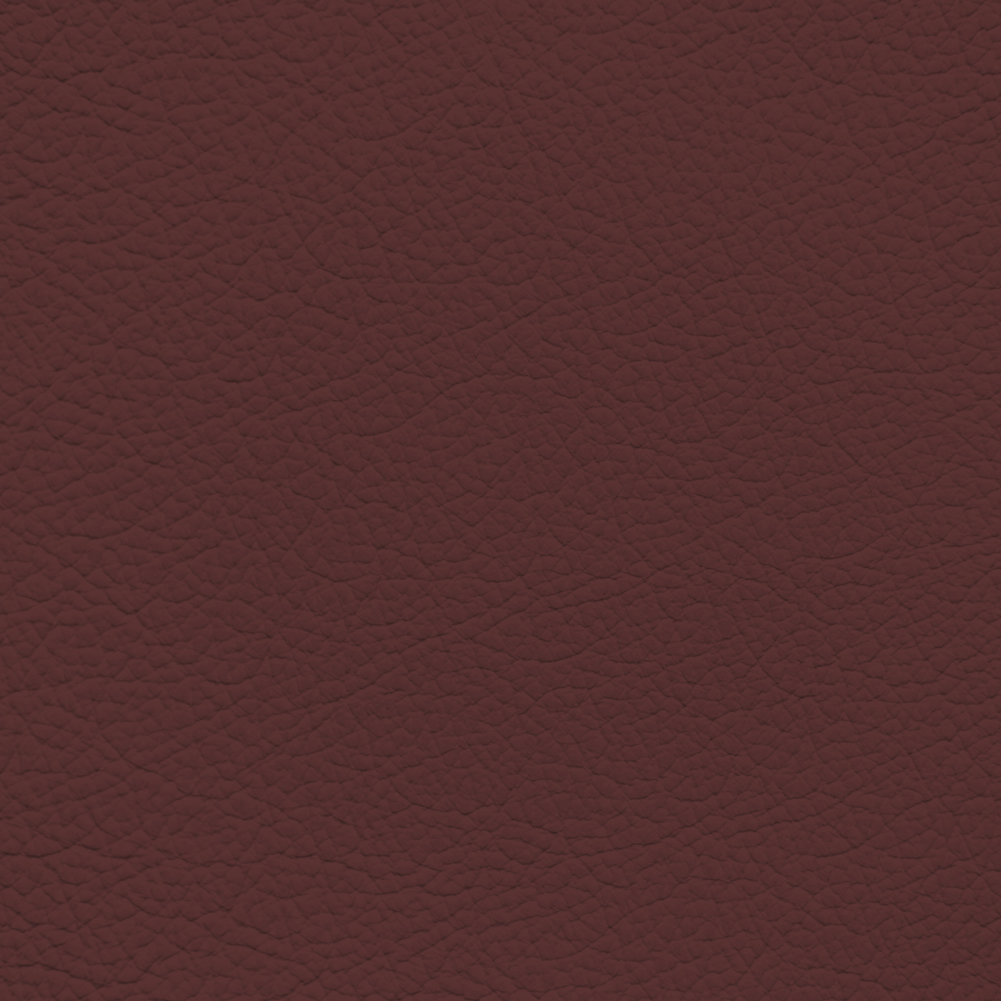 Nissan Burgundy Leather Dye