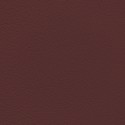 Nissan Burgundy Leather Dye