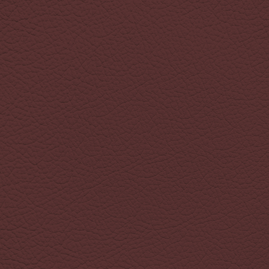 Nissan Burgundy Leather Dye