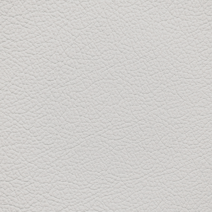 Hyundai Calligraphy Beige Leather Dye
