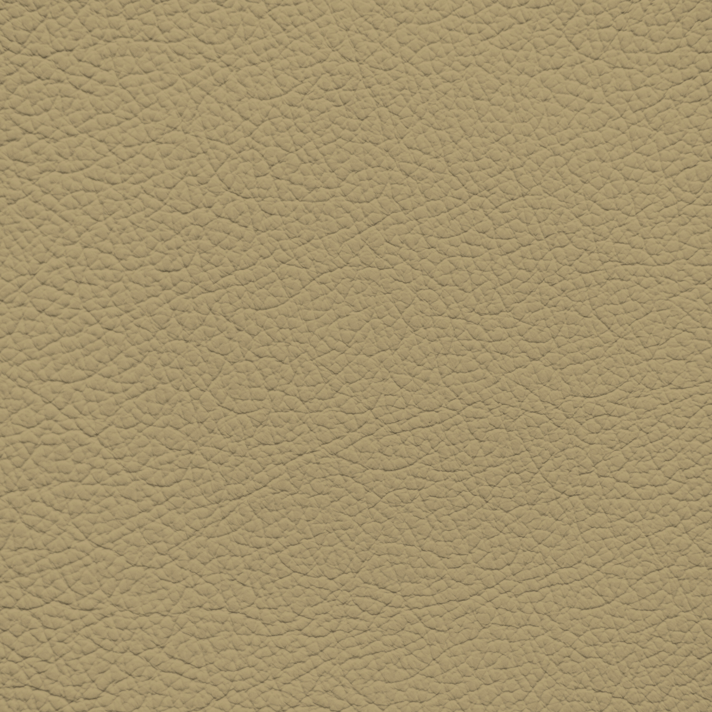 Porsche Cafe Leather Dye