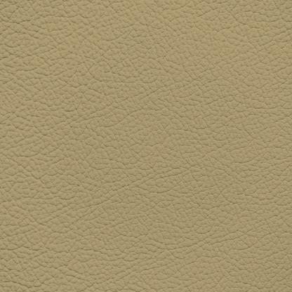 Porsche Cafe Leather Dye