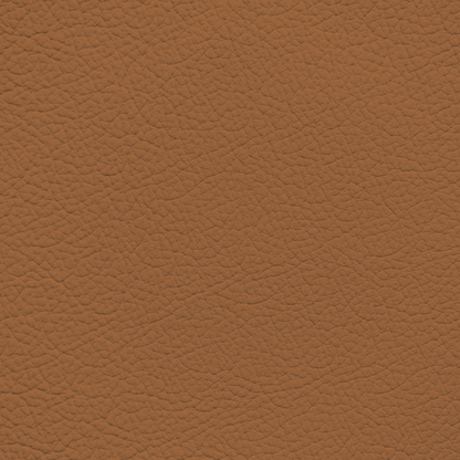 Lexus Camel Tan Leather Dye