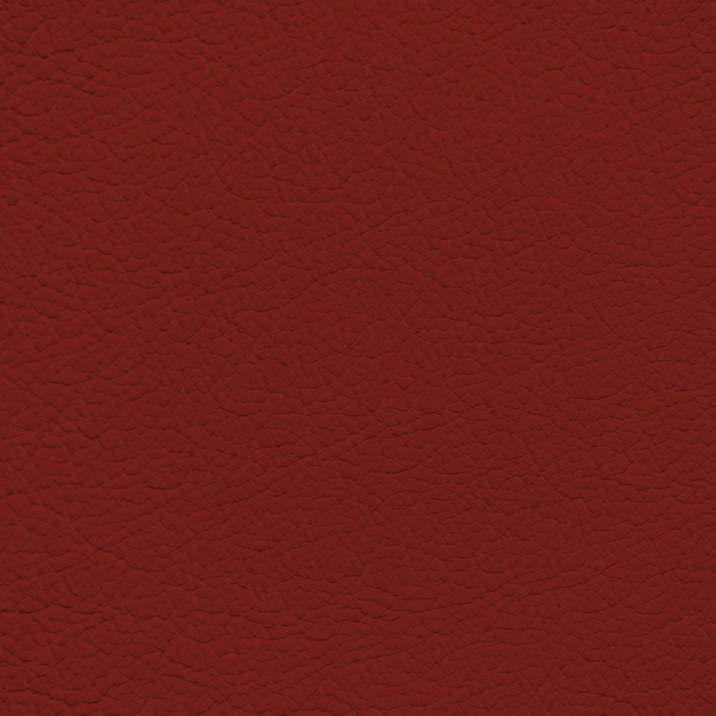 Toyota Camry Red Leather Dye