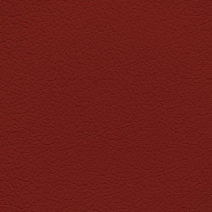 Toyota Camry Red Leather Dye