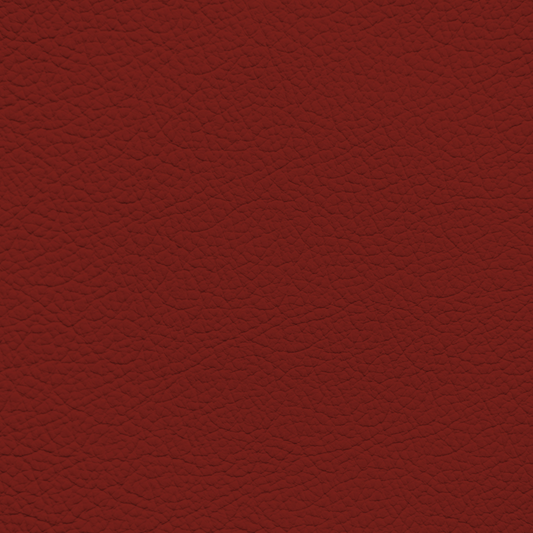 Toyota Camry Red Leather Dye