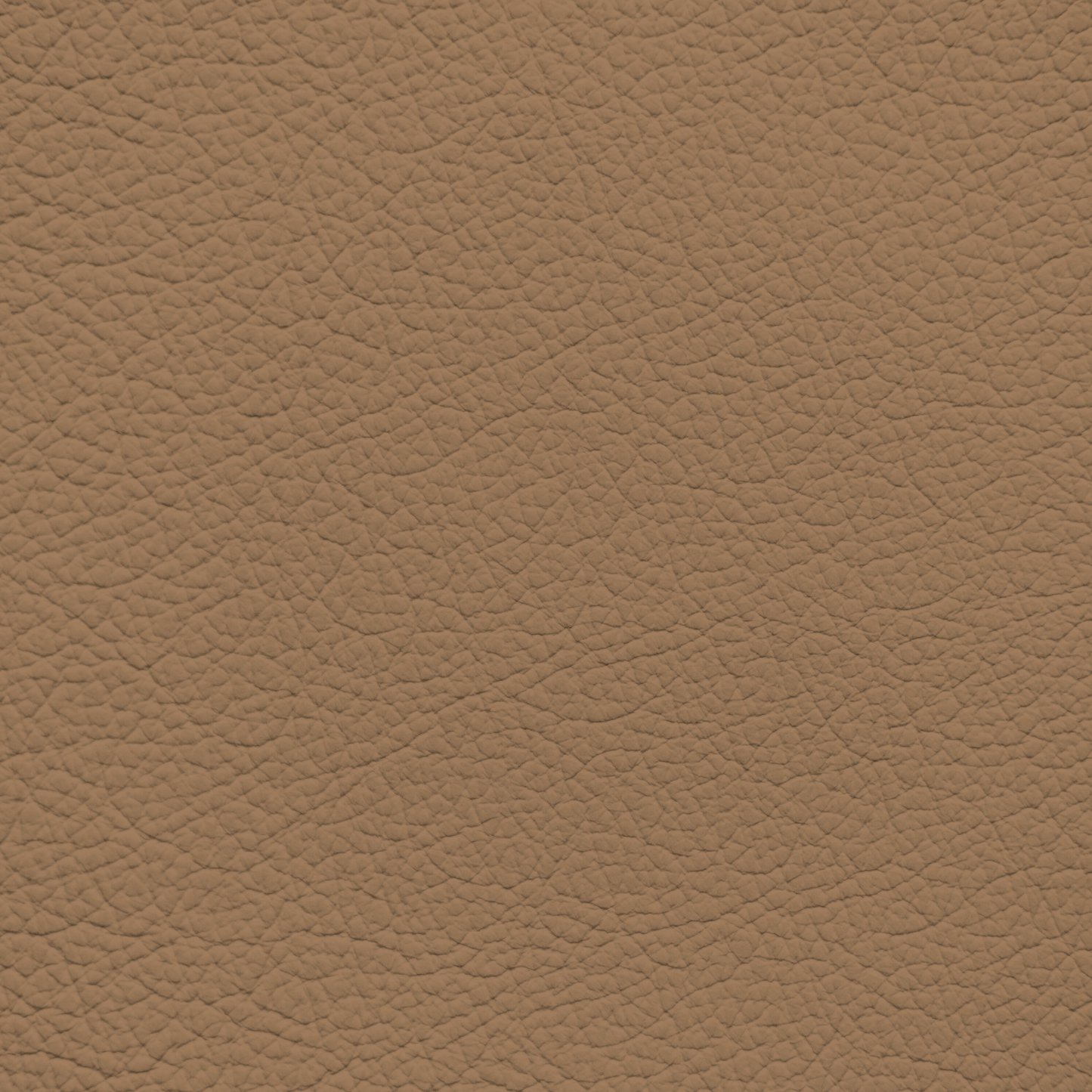 Ford/Lincoln/Mercury Canyon Leather Dye