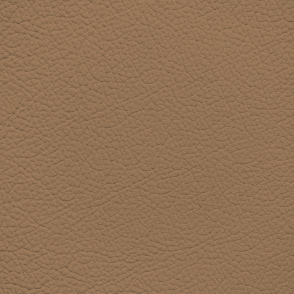 Ford/Lincoln/Mercury Canyon Leather Dye