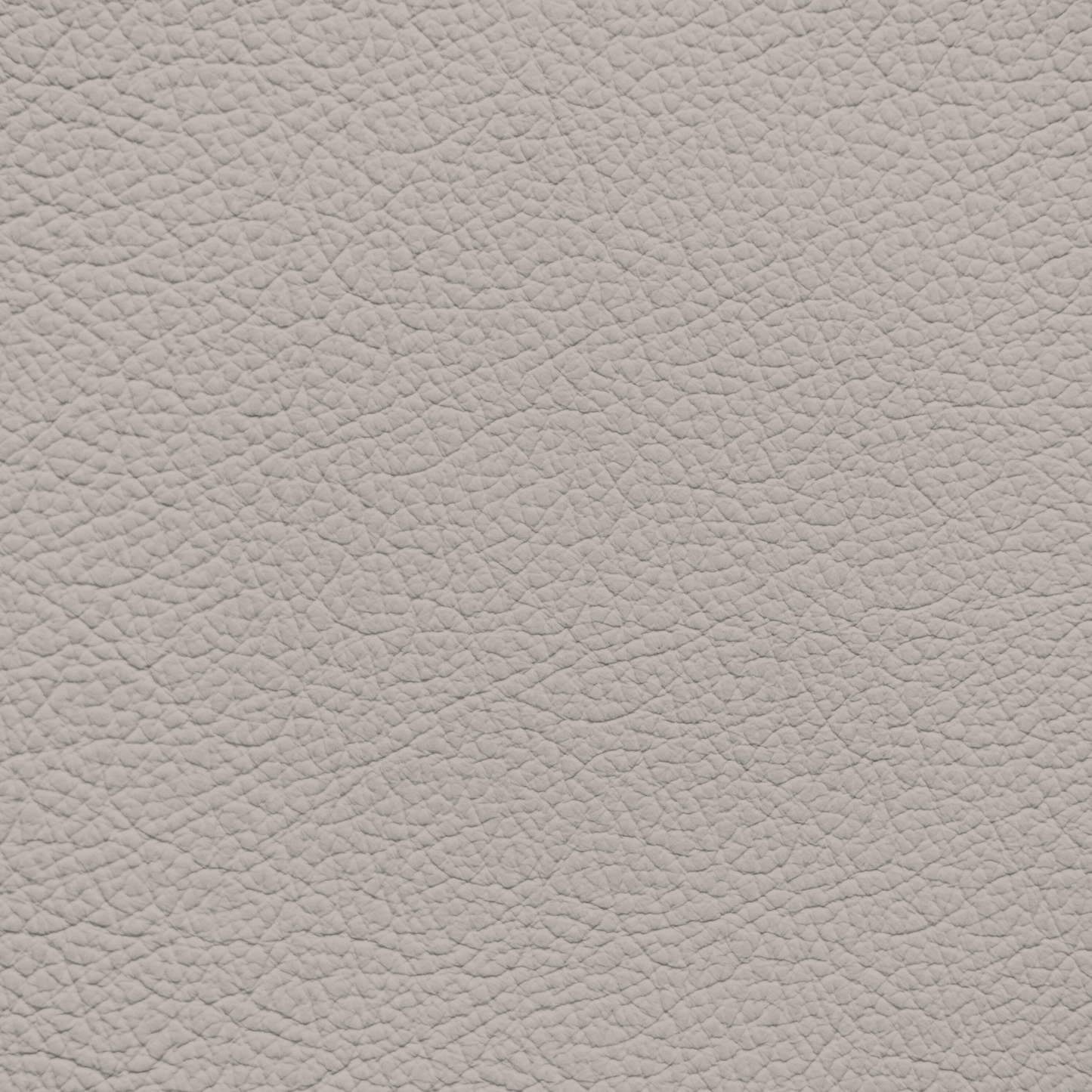 Ford/Lincoln/Mercury Cappuccino Leather Dye