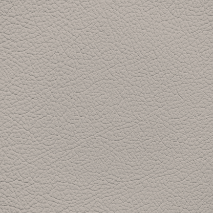 Ford/Lincoln/Mercury Cappuccino Leather Dye