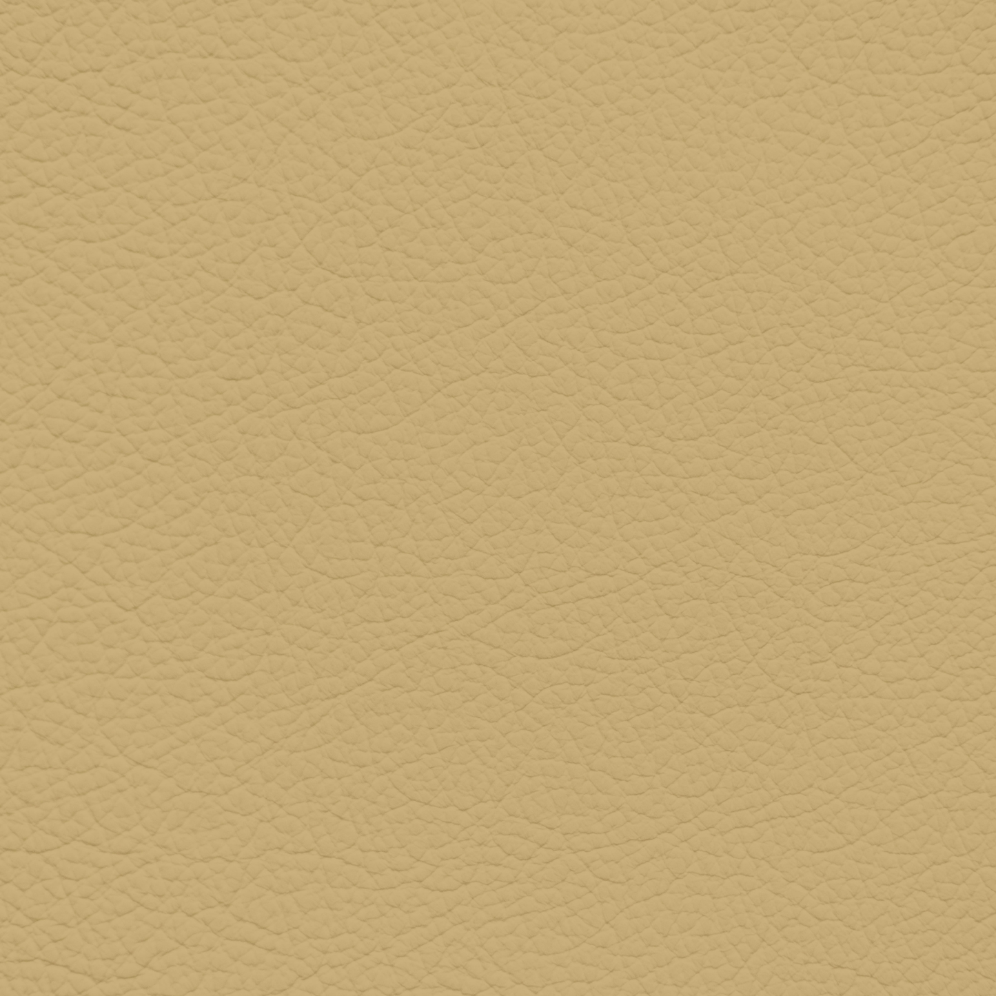 Jaguar Caramel Leather Dye