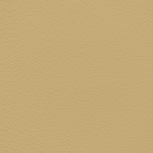 Jaguar Caramel Leather Dye