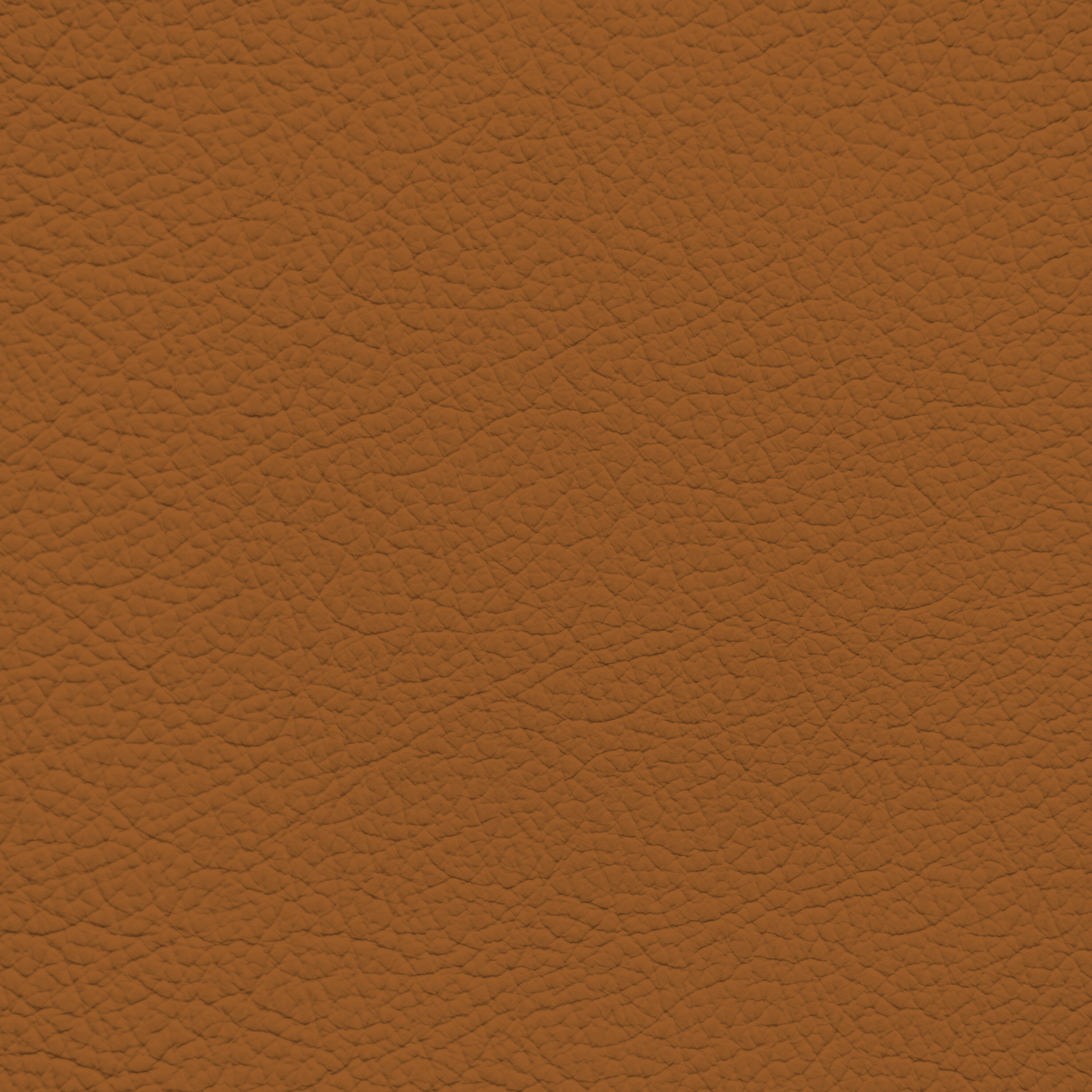 Toyota Caramel Tan Leather Dye