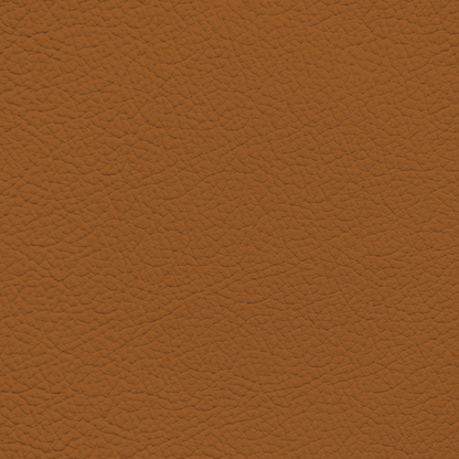 Toyota Caramel Tan Leather Dye