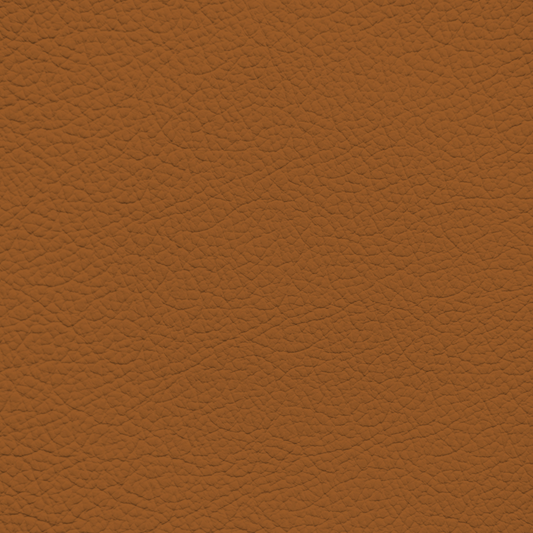 Toyota Caramel Tan Leather Dye