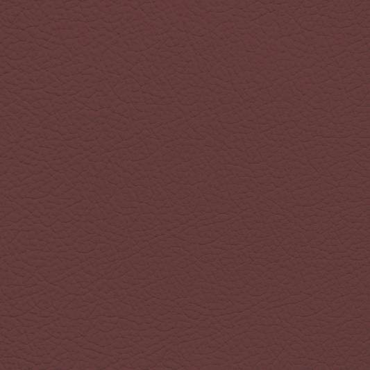 Mazda Carbon Edition Red Leather Dye