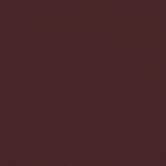 Ford/Lincoln/Mercury Carmine Leather Dye