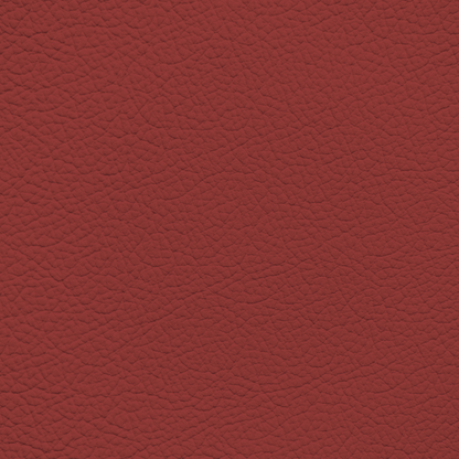 Porsche Carrera Red Leather Dye