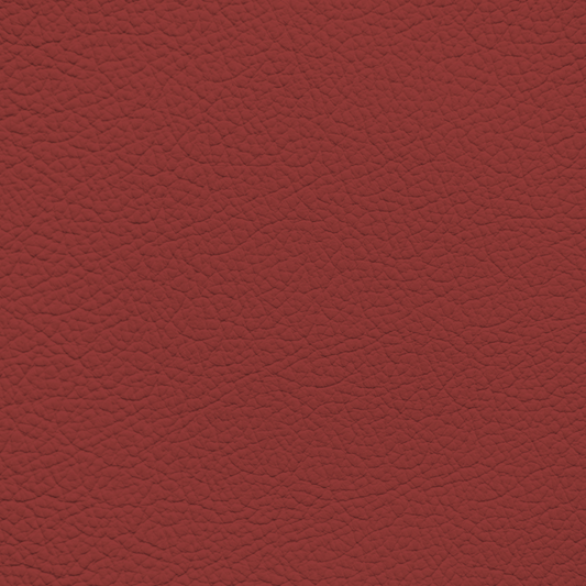 Porsche Carrera Red Leather Dye