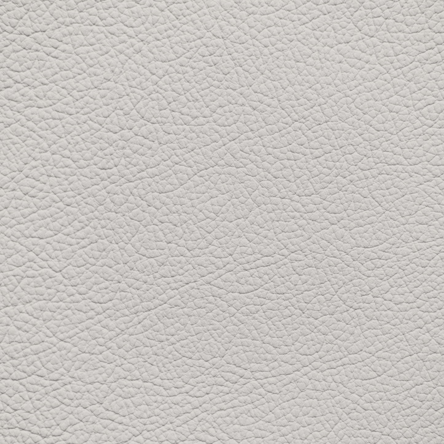 BMW Carum Grey Leather Dye