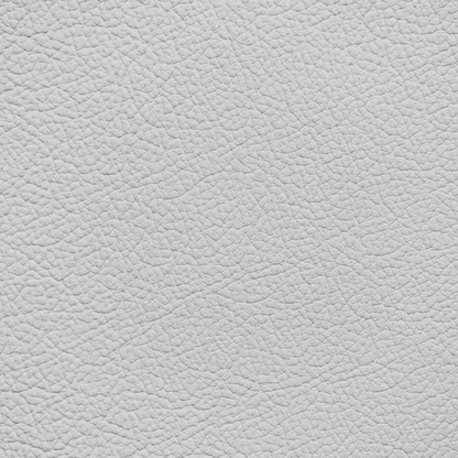 BMW Carum Grey Leather Dye