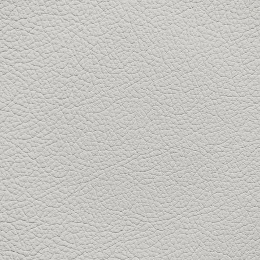 BMW Carum Grey Leather Dye