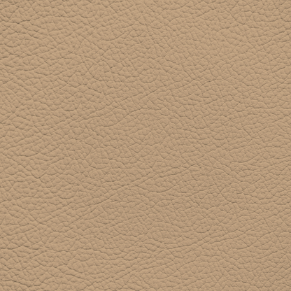 Ford/Lincoln/Mercury Cashew Leather Dye