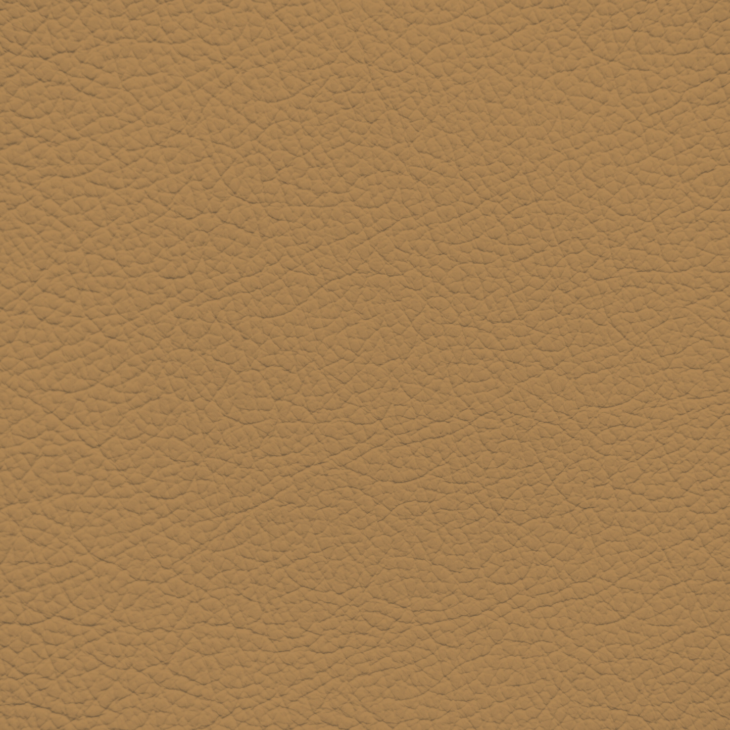 Jaguar Cashew Leather Dye