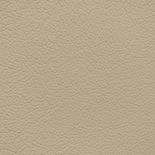 Mercedes Cashmere Beige Leather Dye