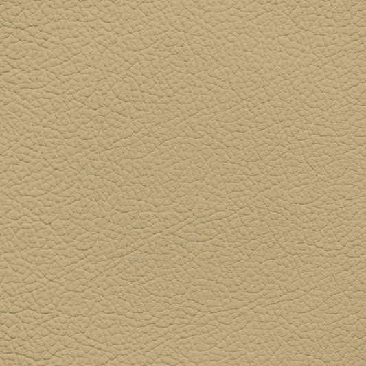 Mercedes Cashmere Leather Dye