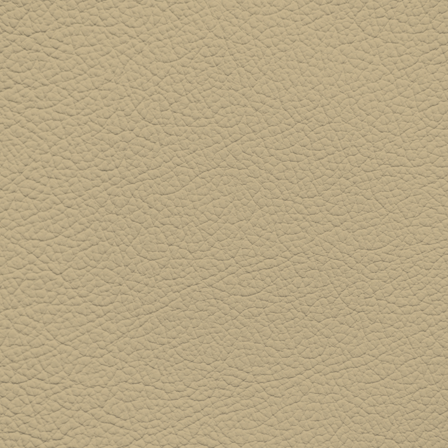 Jaguar Cashmere Leather Dye