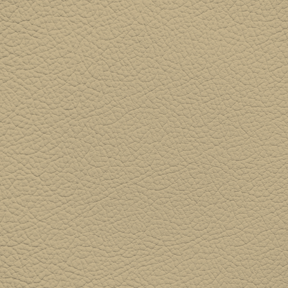 Jaguar Cashmere Leather Dye