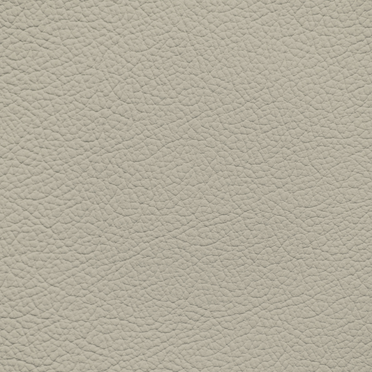 Hyundai Cashmere Leather Dye