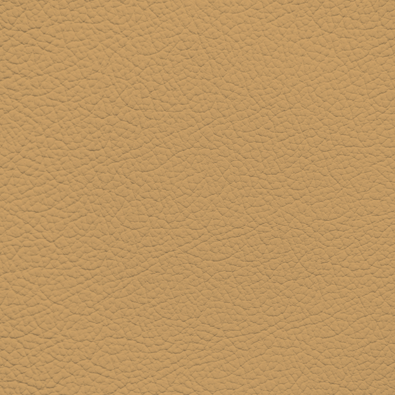 Porsche Cashmere Beige Leather Dye – Leather World Technologies