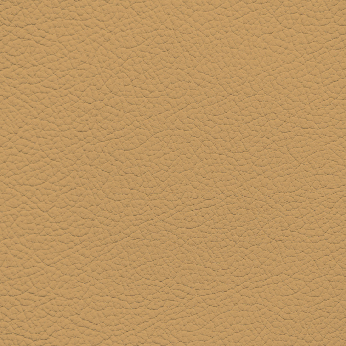 Porsche Cashmere Beige Leather Dye
