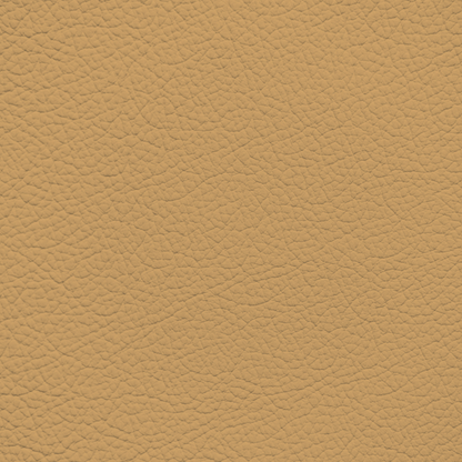 Porsche Cashmere Beige Leather Dye