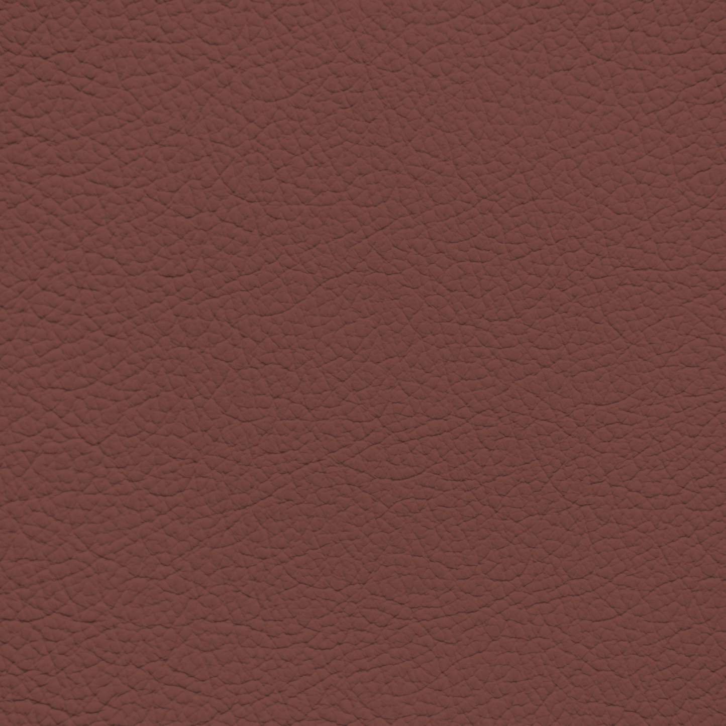 BMW Castanea Leather Dye