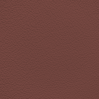 BMW Castanea Leather Dye