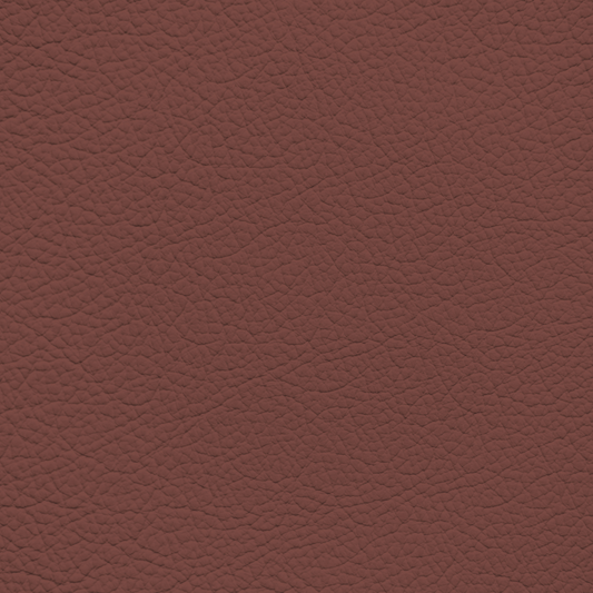 BMW Castanea Leather Dye