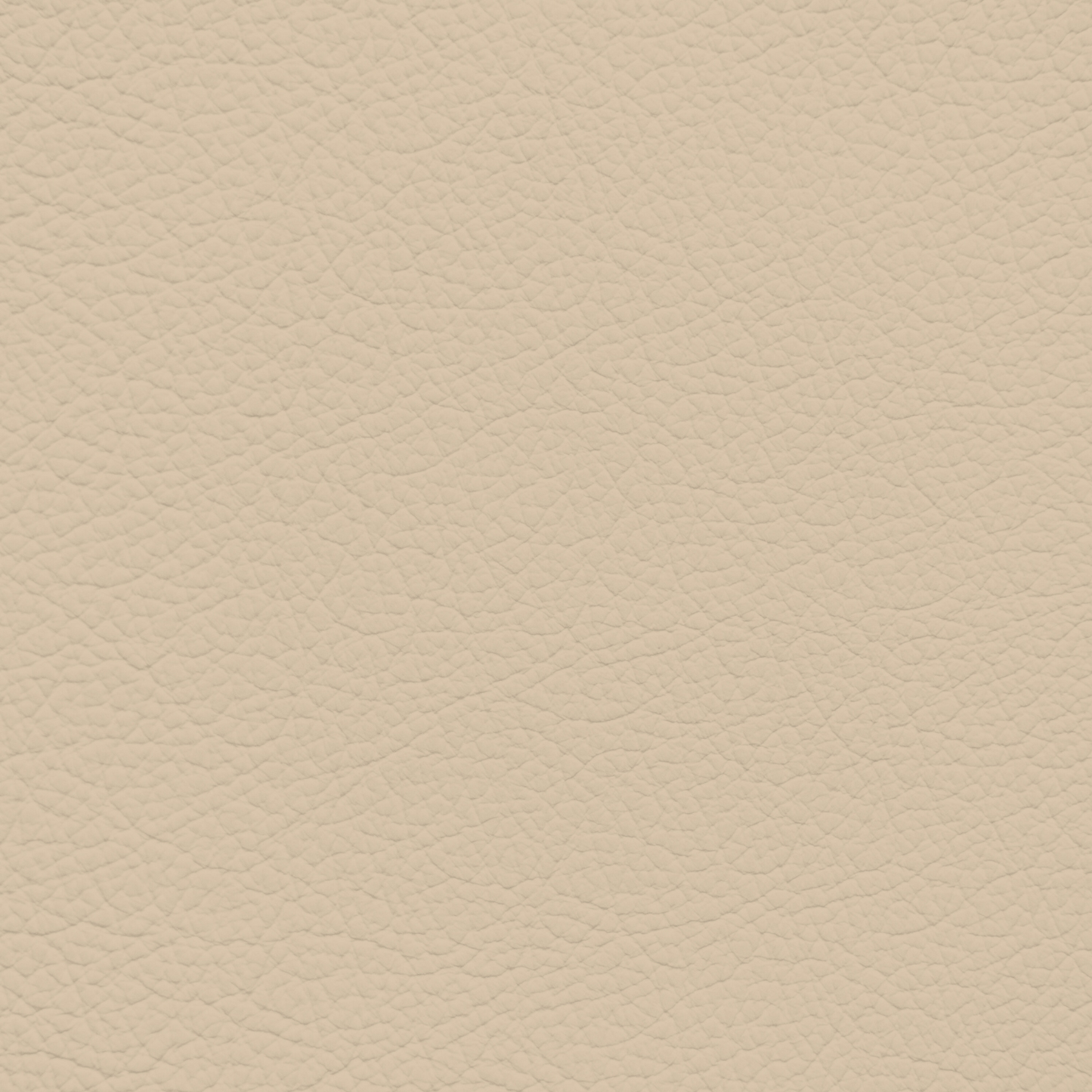 Porsche Cedar Leather Dye