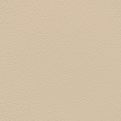Porsche Cedar Leather Dye