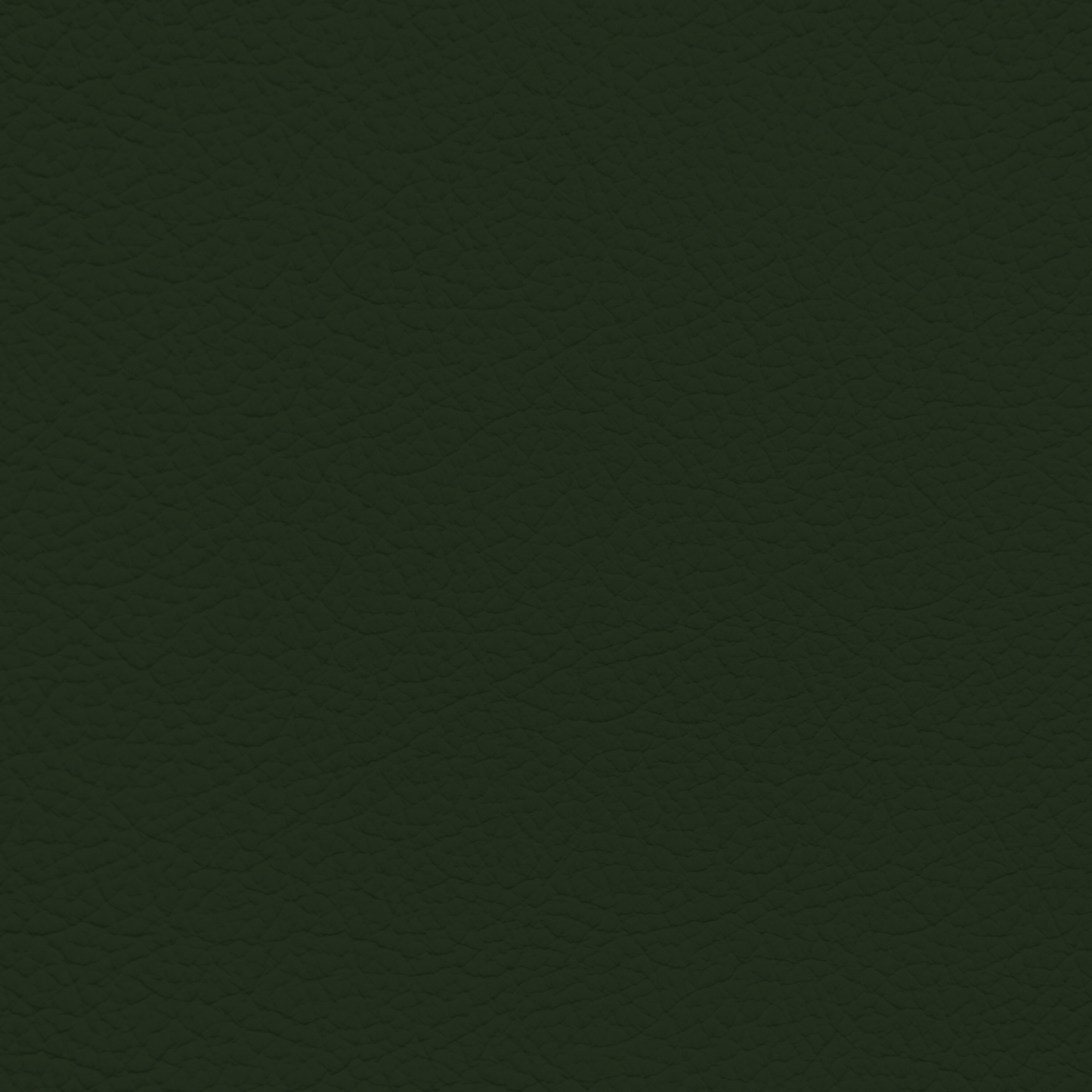 Porsche Cedar Green Leather Dye