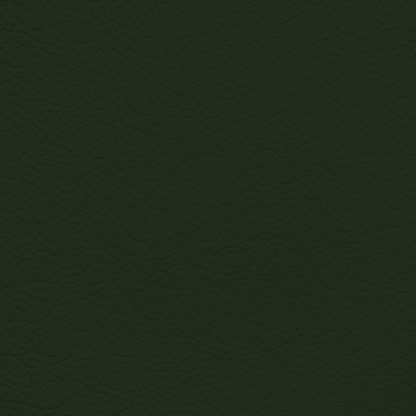 Porsche Cedar Green Leather Dye