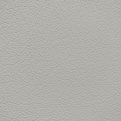 Porsche Chalk Leather Dye