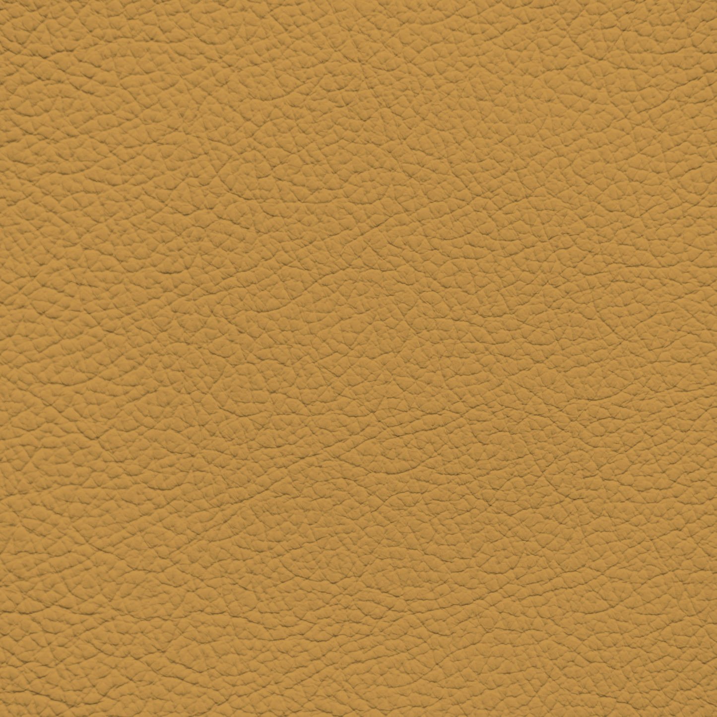 Ford/Lincoln/Mercury Chamois Leather Dye